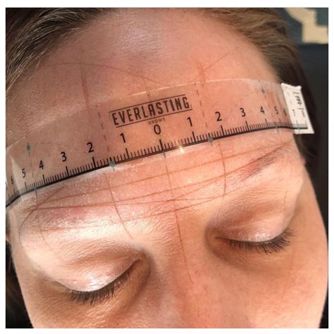 Image result for Microblading Mapping