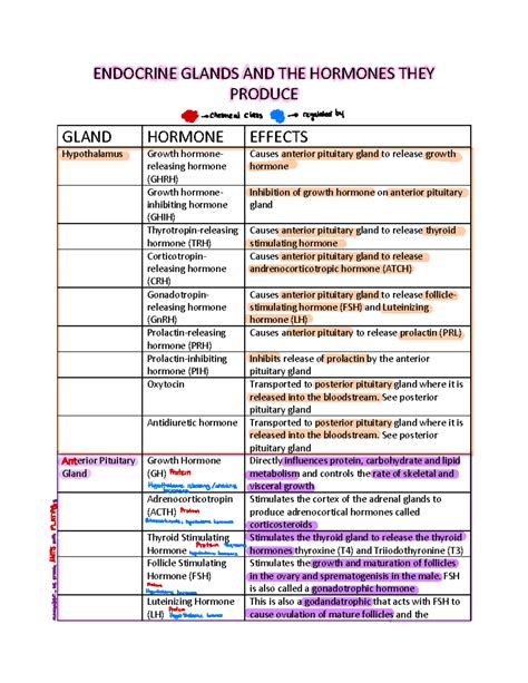 Endocrine Glands and the Hormones they Produce - ENDOCRINE GLANDS AND THE HORMONES THEY PRODUCE ...