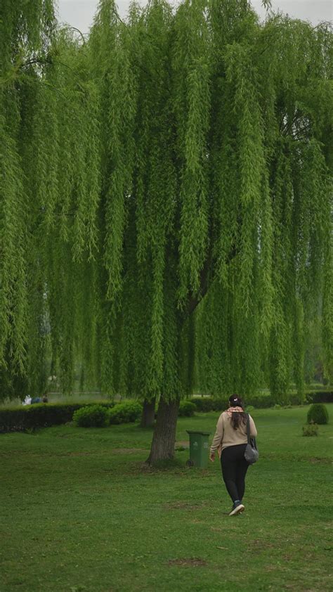 Video+Indian+Dex Videos, Download The BEST Free 4k Stock Video Footage & Video+Indian+Dex HD ...