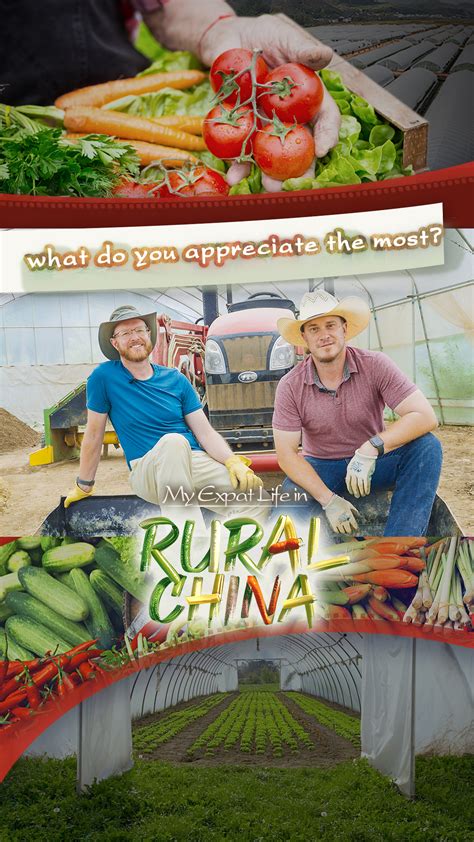 Developing organic agriculture in China: What we appreciate the most - CGTN