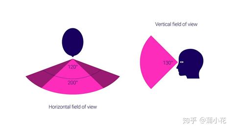 Vr视角 的图像结果