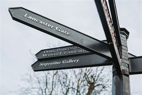 PUDDLES LONDON (2026) All You Need to Know BEFORE You Go (with Photos ...