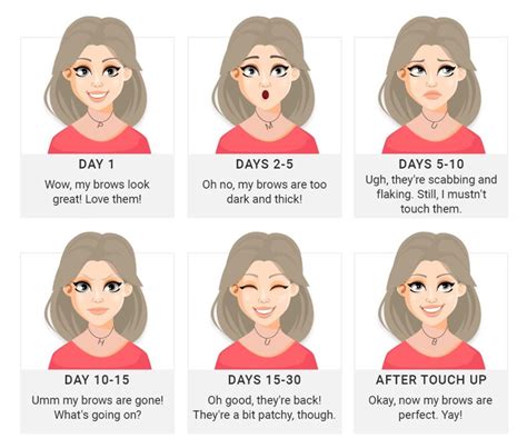 Image result for Microblading Healing