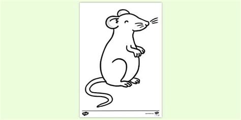 Field Mouse Colouring Sheet - Worksheets (teacher made)