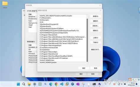 Java JRE JDK Path Setting 的图像结果