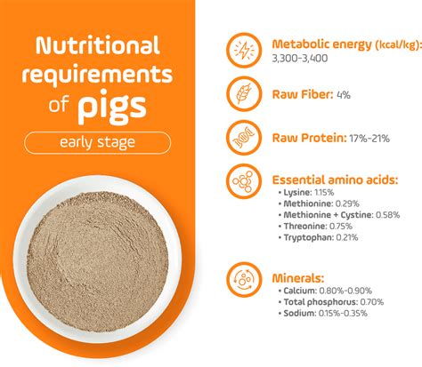 Diets for Pigs at Every Stage: Ingredients for More Efficient Nutrition.