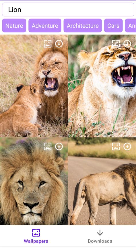 Image result for Wallpaper API