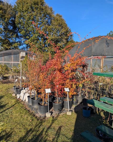 Pensacola Seed & Garden North (@pensacolaseedandgardennorth ...