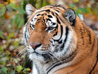 No-Trade No Killing 的图像结果