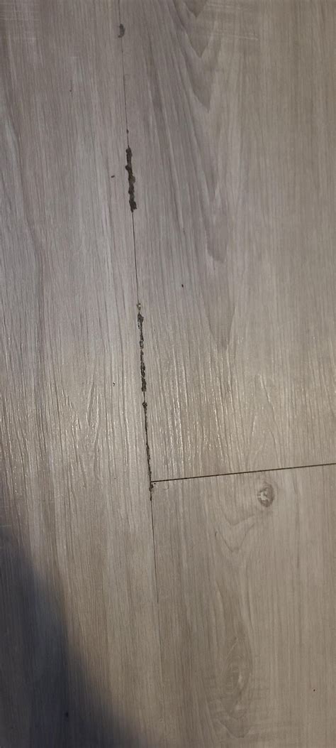 Floor Laminate Glue? : r/CleaningTips
