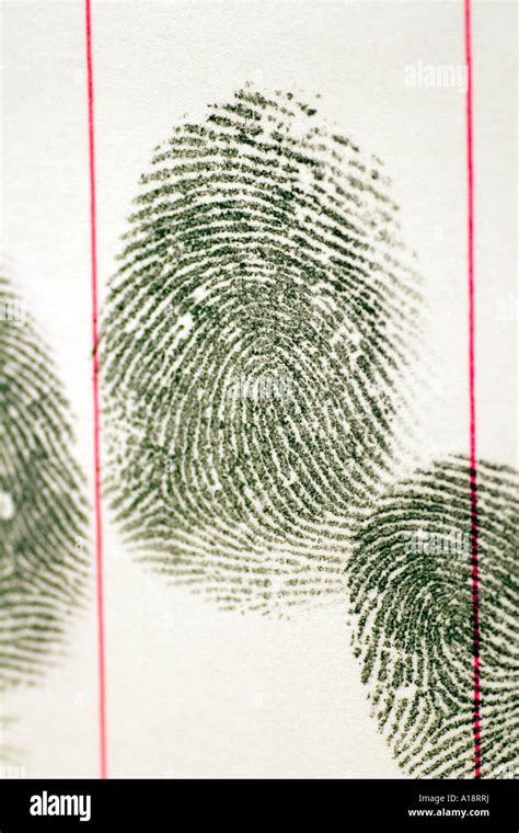 Image result for Loop Fingerprint