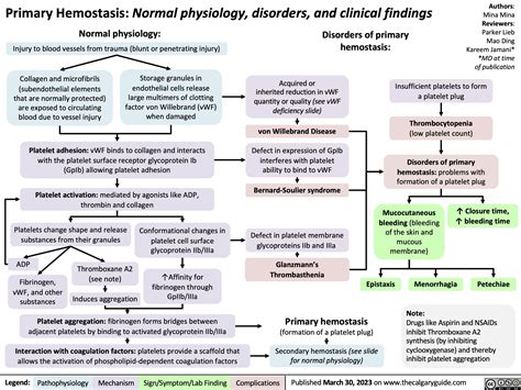 Overview Of Hemostasis A Primary Hemostasis The Schematic Illustration
