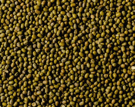 Potato starch - Sirmulis