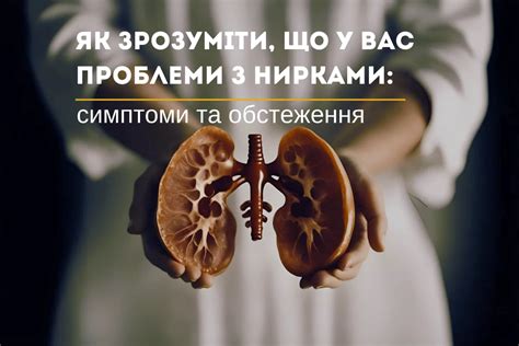 Проблемы с почками: симптомы, диагностика и лечение | Где проверить ...