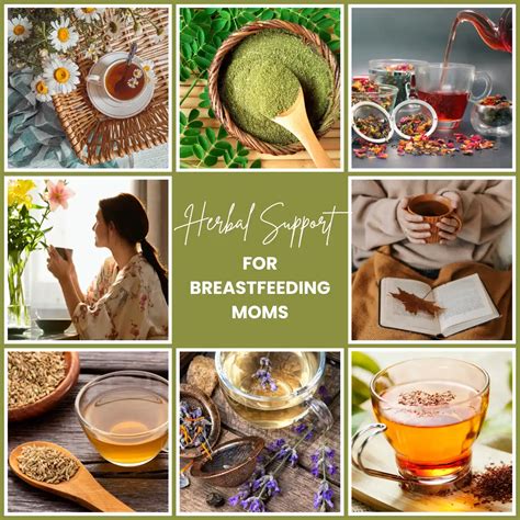 Chamomile Tea For Breastfeeding Moms- Complete Guide