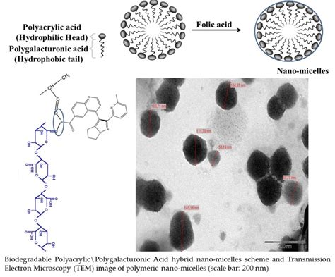 Polymeric Nano-Micelles as Novel Cargo-Carriers for LY2157299 Liver ...