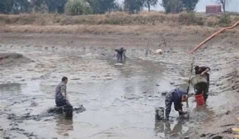 民情追踪丨中江县被抬高近两米的河床恢复原貌！施工违规情况立案查处_四川在线