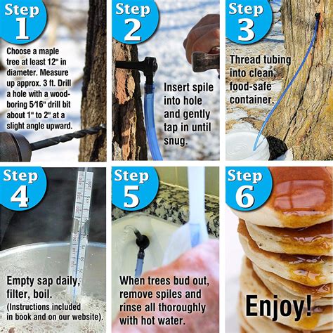 Image result for Maple Syrup Filters