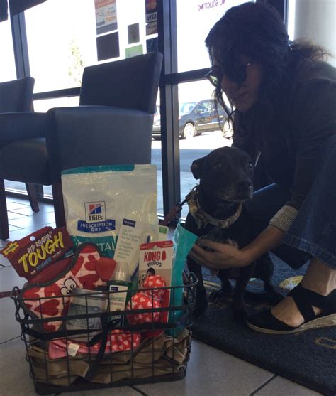 Desert View Animal Hospital (@desertviewvet) • Instagram photos and videos