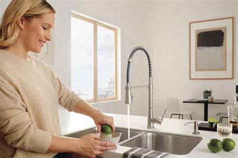 The Multiple Choices in the Market for Kitchen Faucets