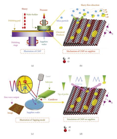 Image result for Atomic force microscopy AFM Principles