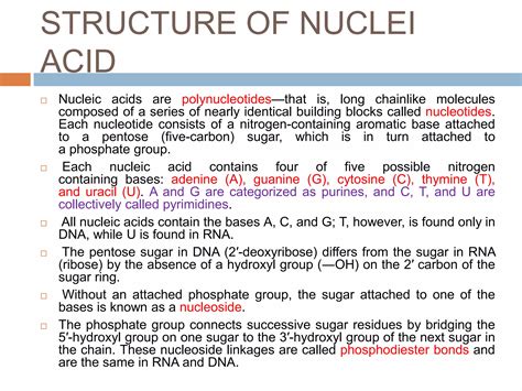 Nuclei acid | PPTX