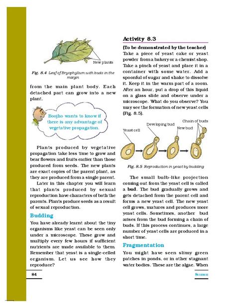 Class 7 Chapter 8 Science Activities 的图像结果