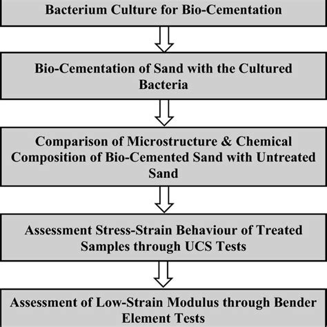 Image result for How to Do Microbial Growth Curves Using Spectrophotometer
