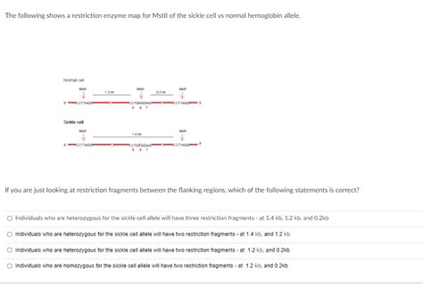 Image result for Restriction Enzyme Map