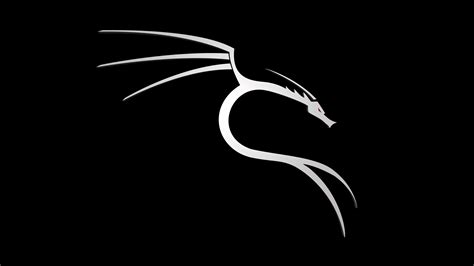 Image result for Kali Linux Stock Image