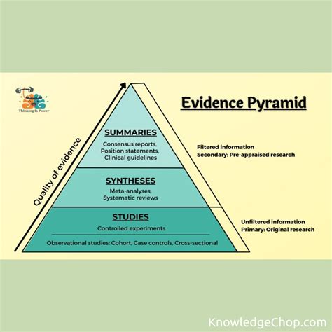Image result for Pyramid of Knowledge