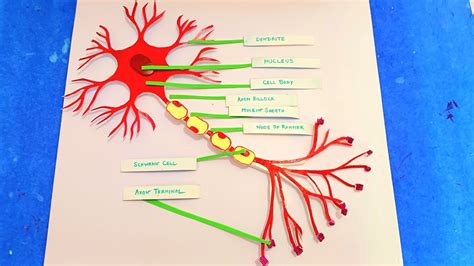 Neuron Model Project 的图像结果