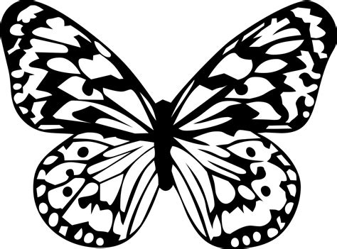 Butterfly Black And White Outline at genaniyablog Blog