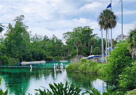 Weeki Wachee Springs Buccaneer Bay Water Park – ONWIL