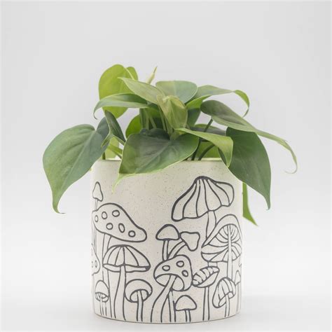 Plant Pot Design