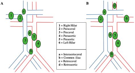 The Current Role of Lymph Node Dissection in Nonmetastatic Localized ...