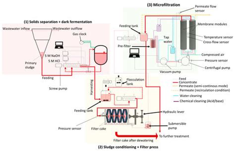 Separation of Short-Chain Fatty Acids from Primary Sludge into a ...