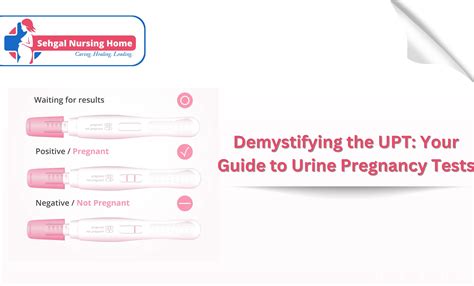 Demystifying The UPT: Your Guide To Urine Pregnancy Tests