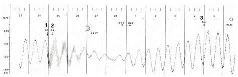 New Observational Material about Seismic and Non-Seismic Tsunamis in ...