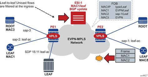 Image result for Evpn Tutorial