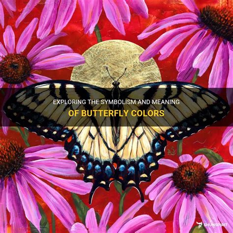 Exploring The Symbolism And Meaning Of Butterfly Colors | ShunSpirit