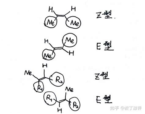 大学有机化学 这个分子的Z/E构型是怎么看的? - 知乎