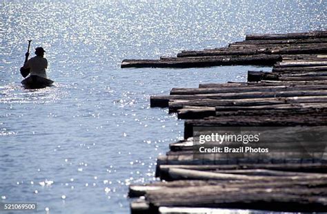 Image result for Logging Amazon Rainforest