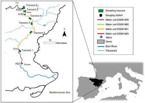 Water | Special Issue : Environmental Flows, Ecological Quality and ...