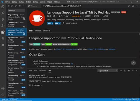 How to Setup vs Code for Java 的图像结果
