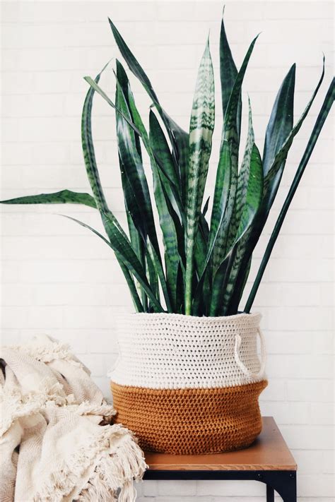 Buy CROCHET PATTERN Belly Basket Crochet Pattern Midcentury Online in ...