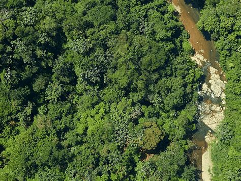 Land, Soil, Water, Natural Vegetation and Wildlife Resources Class 8 ...