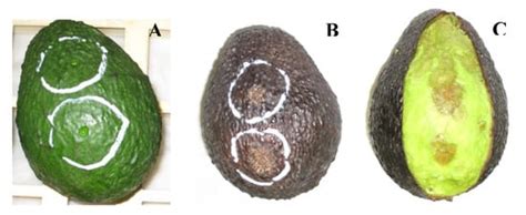 Effects of Treatment with Electrolyzed Oxidizing Water on Postharvest ...