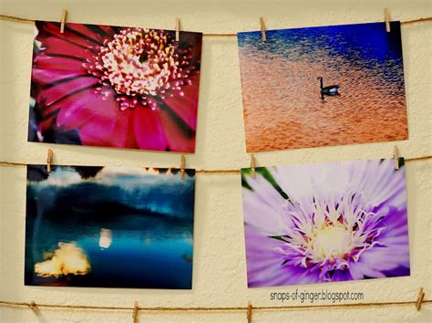 Image result for Making a Rustic Picture Frame