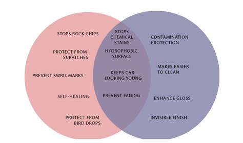 Best Paint protection film services |Trivandrum | T.A.S(Travancore Auto ...